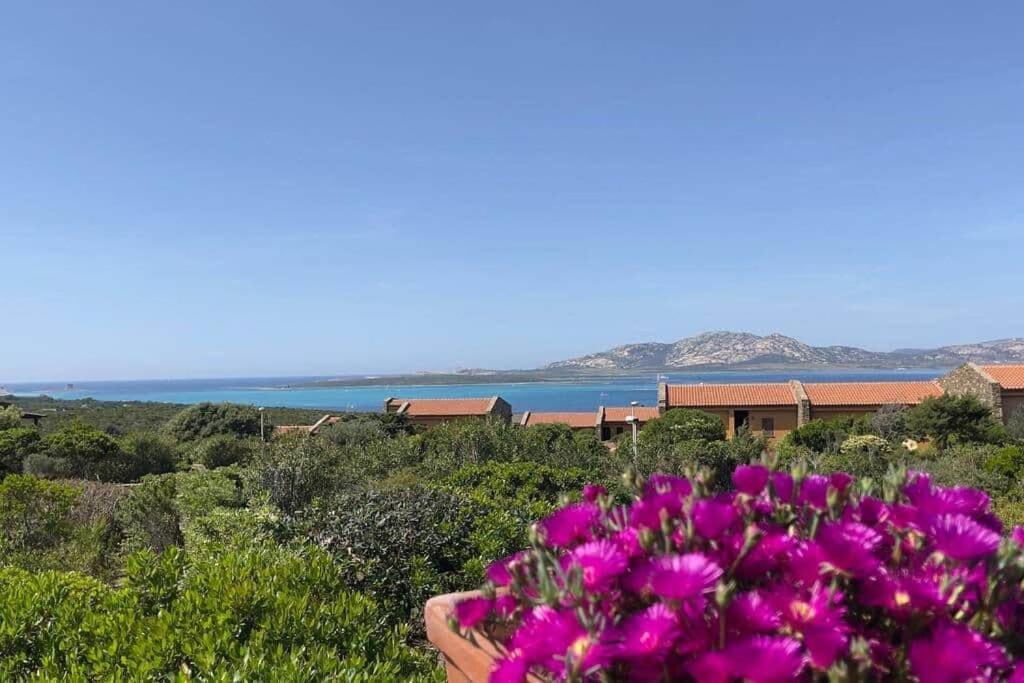 Ferienwohnung Terrazza Vista Mare Stintino Exterior foto