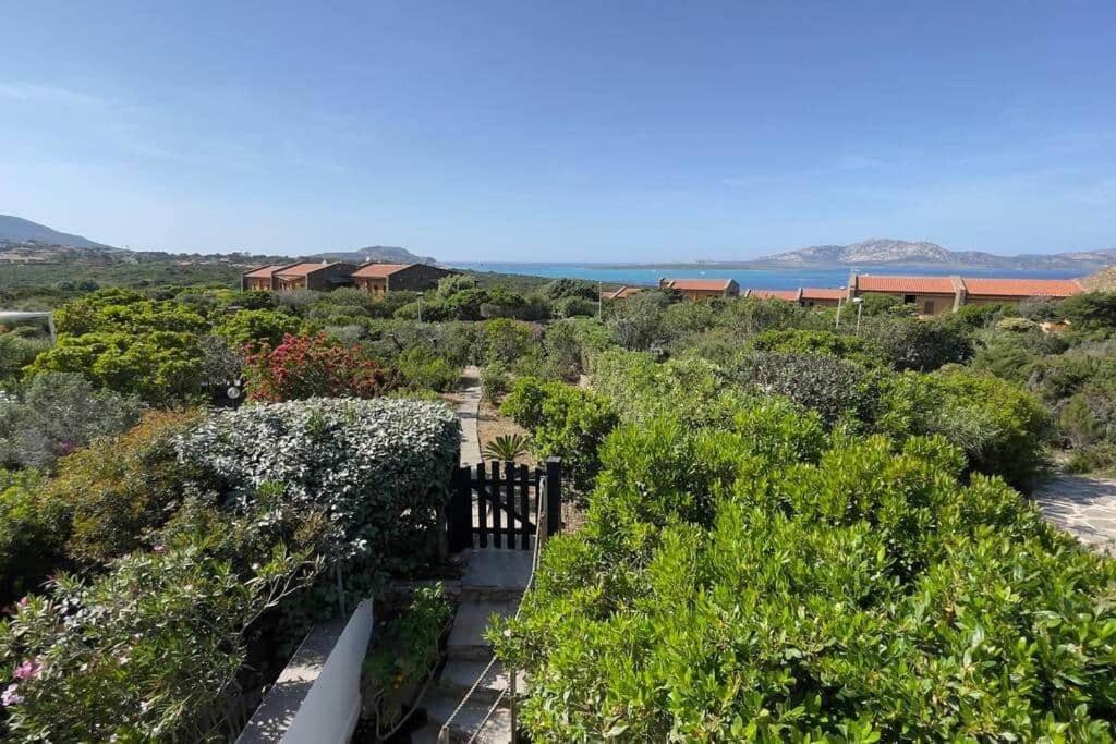 Ferienwohnung Terrazza Vista Mare Stintino Exterior foto